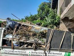 Best Estate Cleanout  in Stony Point, MI